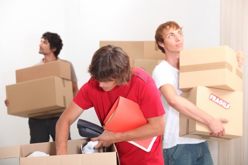 Professional movers carrying boxes during a Turnpikelane relocation